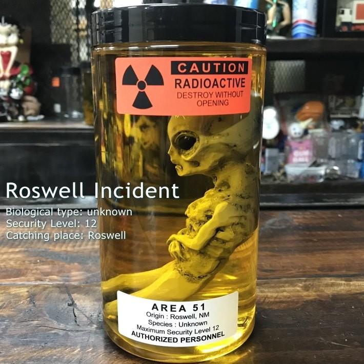 エイリアンのホルマリン漬け ロズウェル捕獲 エリア51 宇宙人 フィギュア Ufo 置物 Dcch001 プレゼント ギフト Hype 通販 Yahoo ショッピング