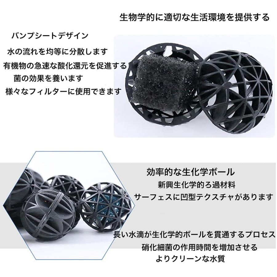 水槽 haogaotong Aquascaping by Takayuki Fukada | 3 Weeks Setup