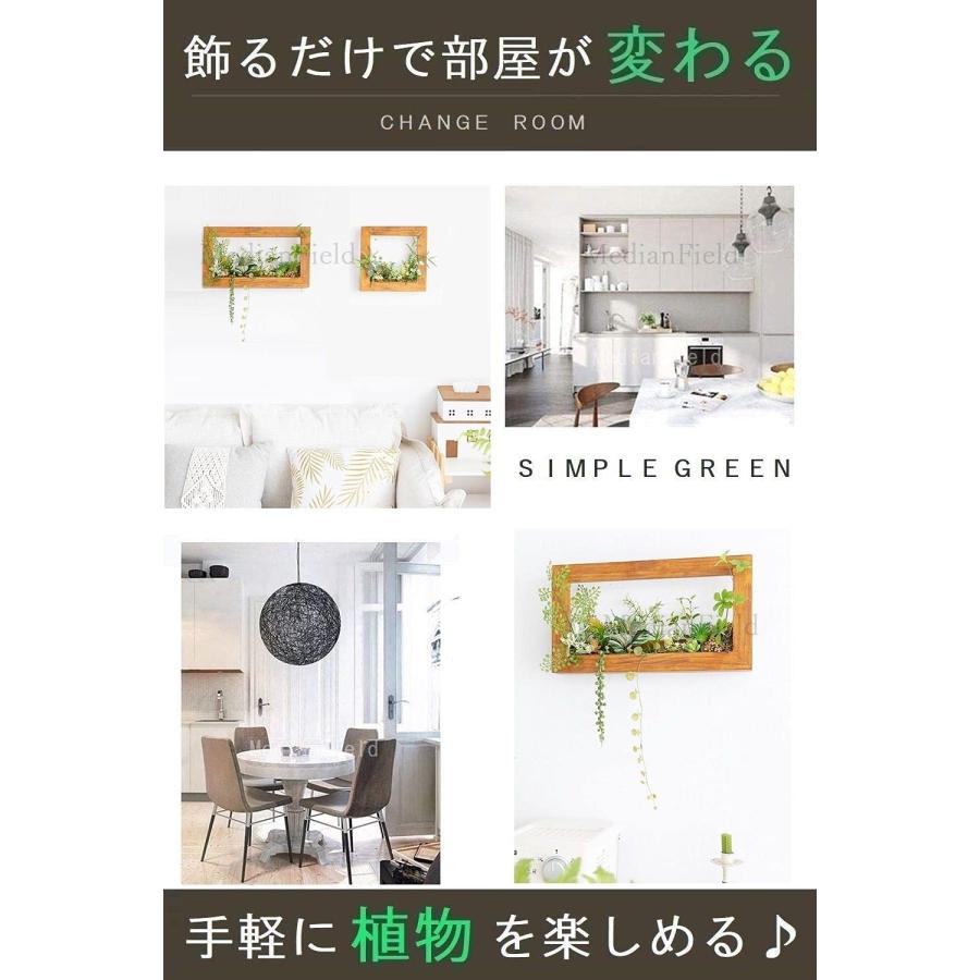 MedianField 【 ウォールグリーン 壁掛け フェイク 木枠 】 フェイクグリーン 観葉植物 造花 おしゃれ インテリア 人工観葉植物 エアー |  | 05