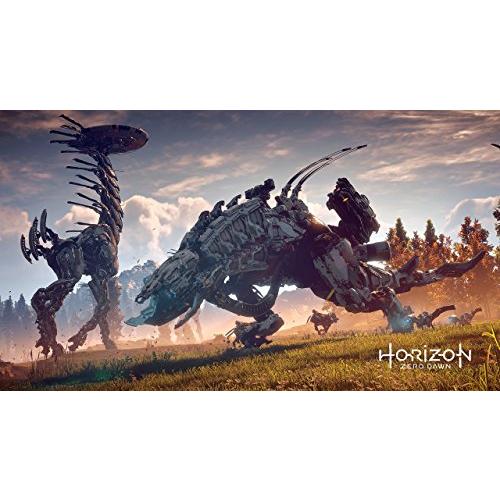 Horizon Zero Dawn 通常版　- PS4｜hyper-market｜07