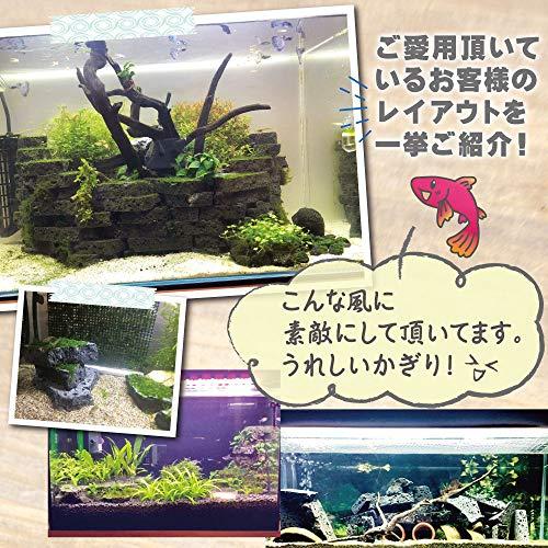 ボルケーノロック 溶岩石プレート 水槽用 アクアリウム用 【3.5kg】 簡単レイアウトで大迫力の水槽に STC-YGAQ035｜hyper-market｜06