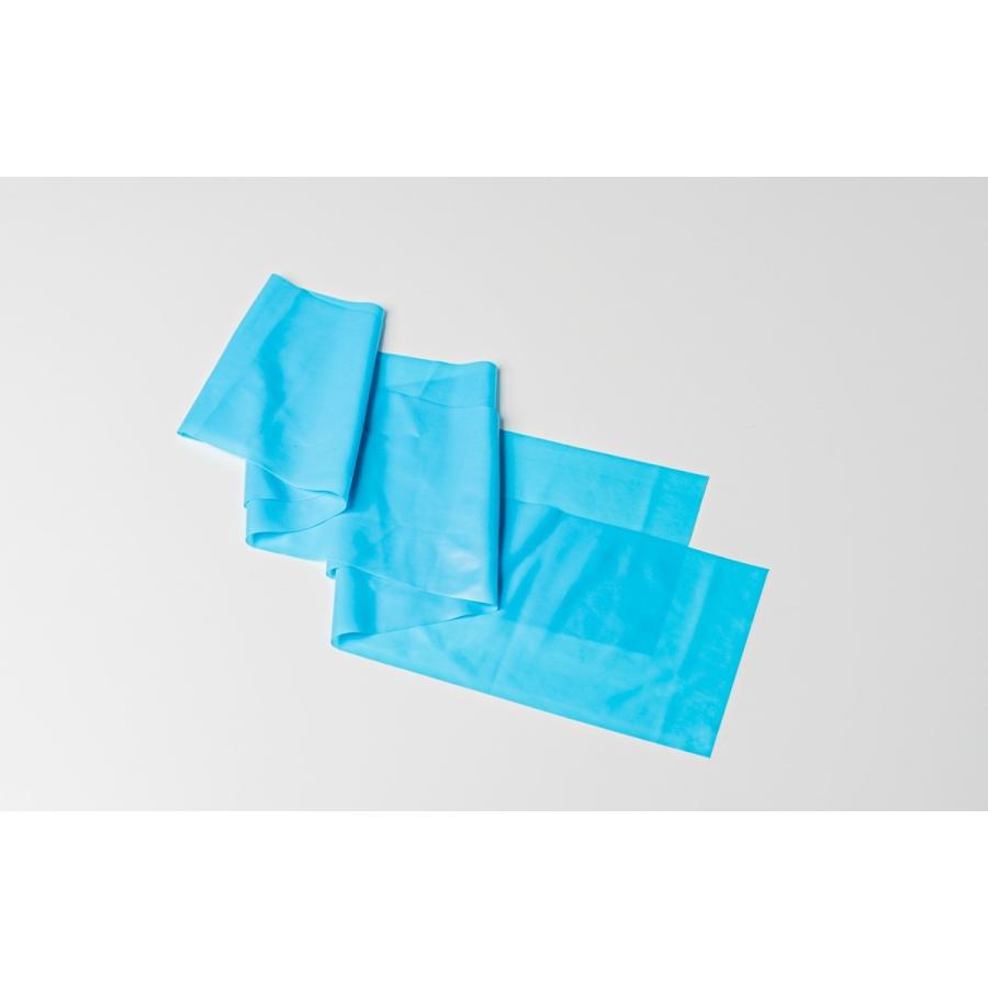 大判ゴムバンド 15cm＊150cm 筋トレ ストレッチ 自分史上最高の柔軟性が手に入るストレッチ 送料無料 柔軟王子 |  | 06