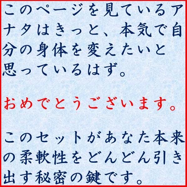 魔法の筋膜リリース パーフェクト5種6点セット 最速 柔軟 ストレッチ博士 柔軟王子｜hyperbody｜10