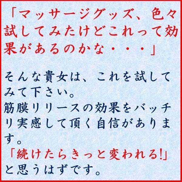 魔法の筋膜リリース パーフェクト5種6点セット 最速 柔軟 ストレッチ博士 柔軟王子 |  | 11