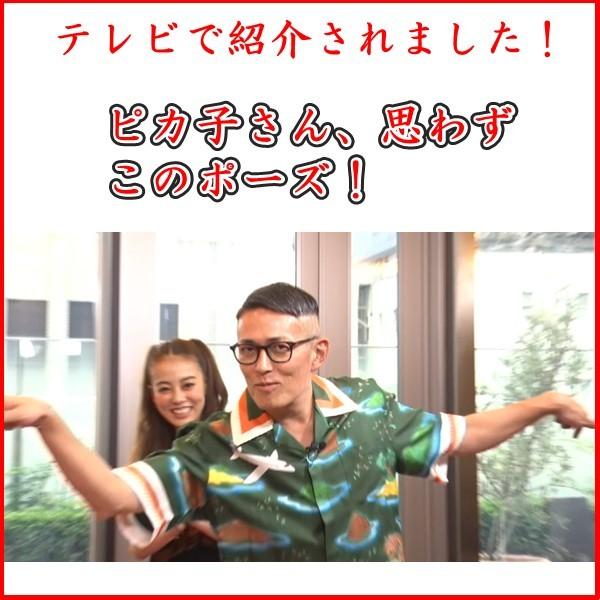 魔法の筋膜リリース パーフェクト5種6点セット 最速 柔軟 ストレッチ博士 柔軟王子 |  | 03