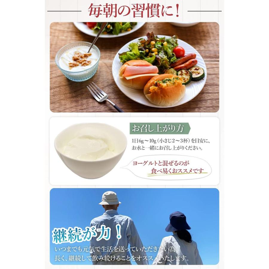 主命堂 CPL 環状重合乳酸 400g ダイエット