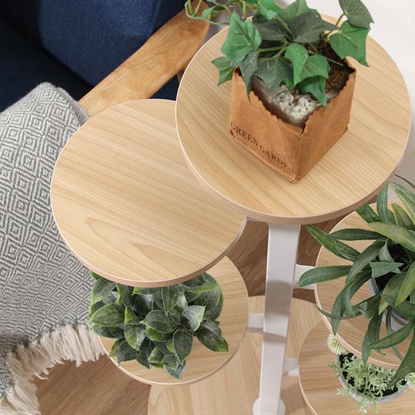 ディスプレイラック 棚 シェルフ キャビネット おしゃれ 北欧 プランタースタンド スリム 収納 オープンラック リビング プランター 韓国インテリア |  | 01