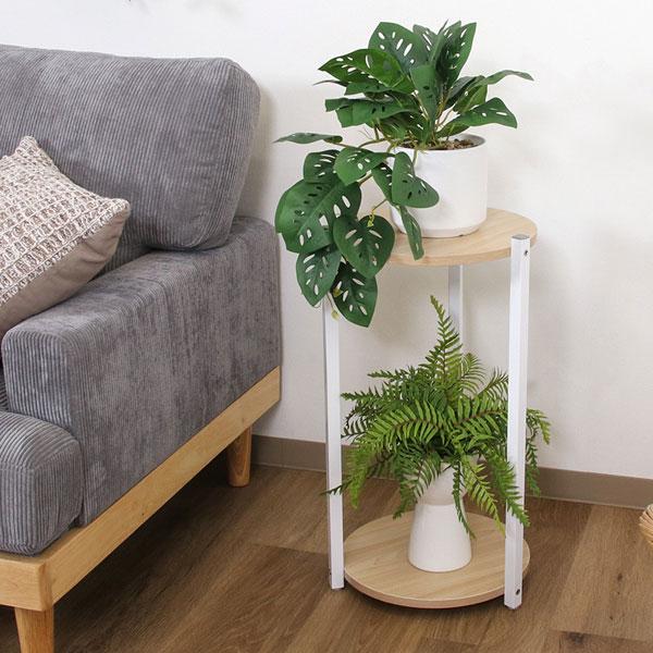 ディスプレイラック 棚 シェルフ キャビネット おしゃれ 北欧 プランタースタンド スリム 2段 収納 オープンラック リビング プランター 韓国インテリア |  | 01