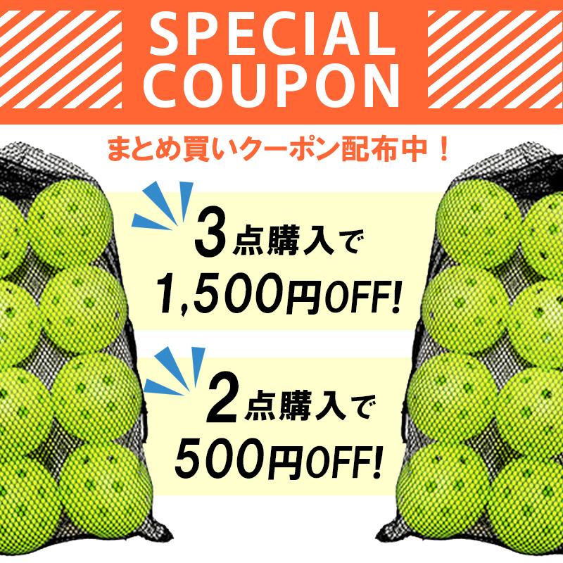 穴あきボール 野球 20球 バッティング練習 練習用 室内 トレーニング