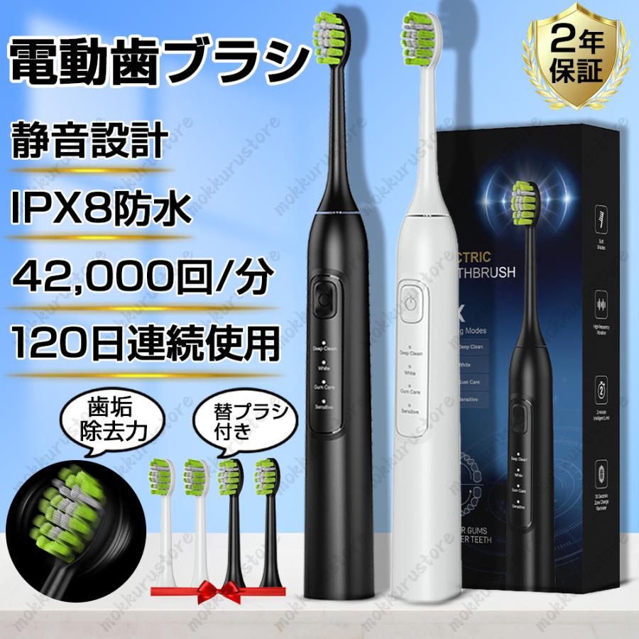 【高性能】電動歯ブラシ 音波歯ブラシ 高速振動 42,000回/分 USB 充電式 IPX8防水 本体＋替えブラシ 歯垢除去 虫歯予防 子供 大人 携帯便利 新品 安い 2026最新