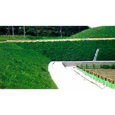 草植 ハエルタイP型 法面・平坦地用 種子・肥料全面装着型PE 草植 ハエルタイP型 法面・平坦地用 種子・肥料全面装着型PE