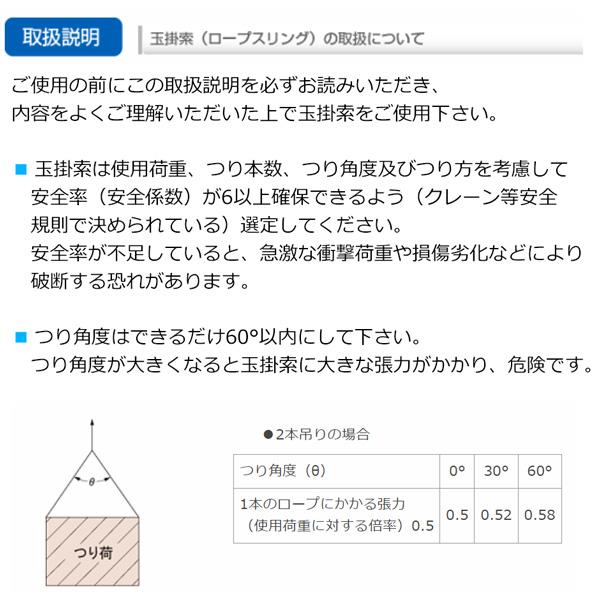 日興 Wスリング 9mm × 1.5m JIS規格 入数1本 玉掛ワイヤーロープ 日興 Wスリング 9mm × 1.5m JIS規格 入数1本 玉掛ワイヤーロープ