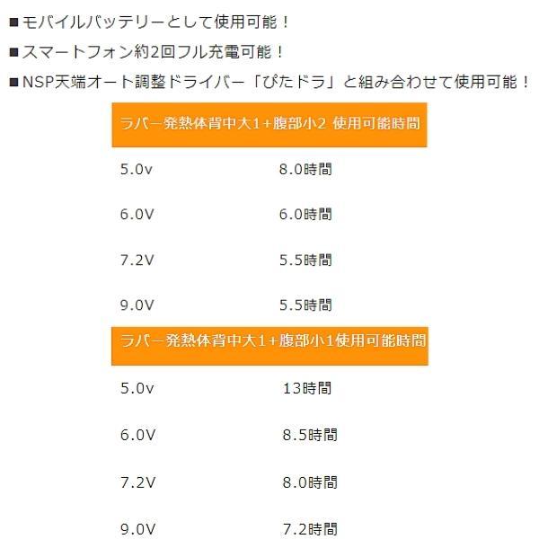 NSP(DIY) NSP NZ-LIBS 大容量ハイパワーバッテリー本体・充電器 NSP(DIY) NSP NZ-LIBS 大容量ハイパワーバッテリー本体・充電器