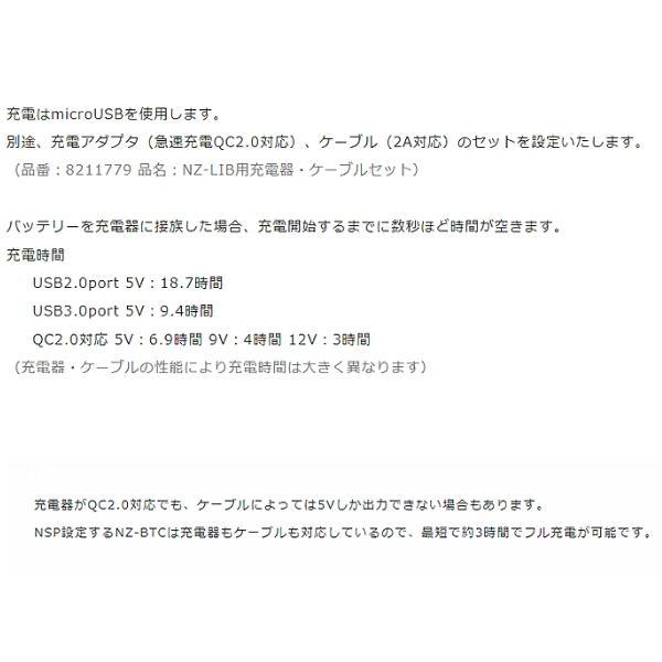 NSP(DIY) NSP NZ-LIBS 大容量ハイパワーバッテリー本体・充電器 NSP(DIY) NSP NZ-LIBS 大容量ハイパワーバッテリー本体・充電器
