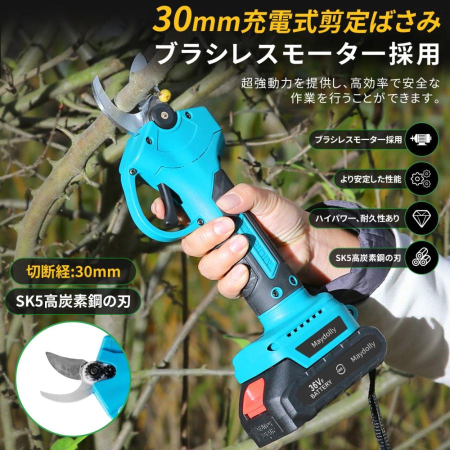 高枝チェーンソー 充電式 軽量コードレス マキタバッテリ一対応可能 1