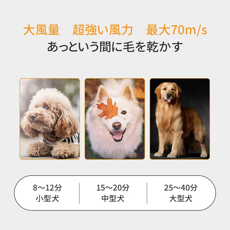 最大54％オフ！ ペットドライヤー コンパクト式 大風量 家庭用 業務用