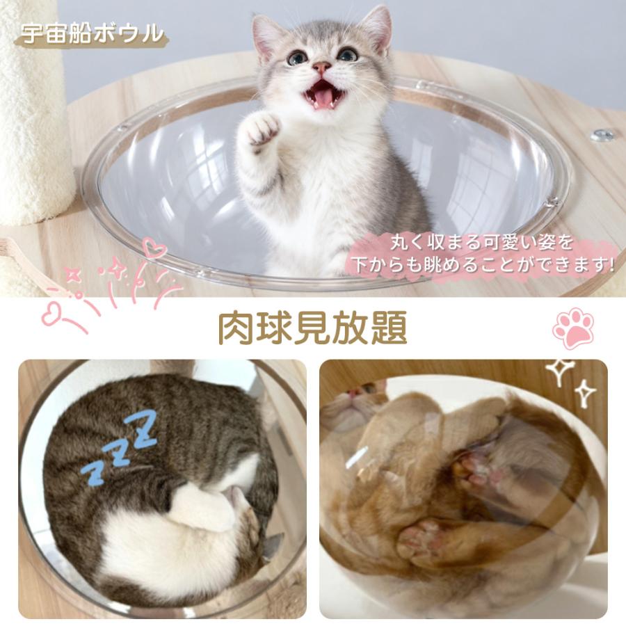 キャットタワー 多頭飼い 据え置き 木製 猫タワー 大型猫 ねこタワー スリム 省スペース 猫 人気 爪研ぎ タワー つめとぎ 宇宙船 おすすめ キャットホウス |  | 06