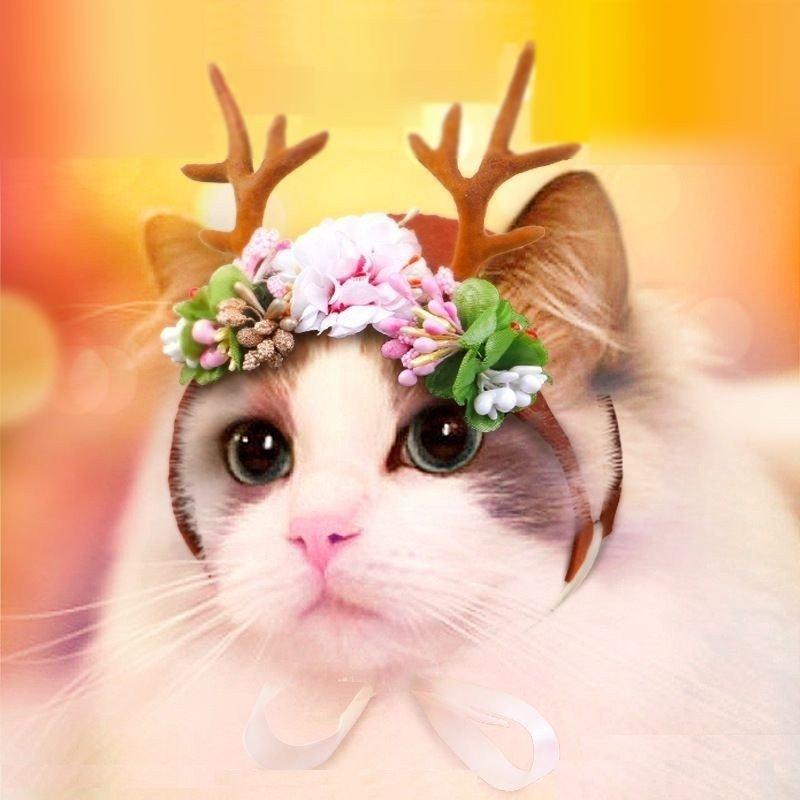 犬用被り物 猫用被り物 被り物 かぶりもの 犬用帽子 猫用帽子 帽子 鹿 小鹿 バンビ 猫 キャッ 花 造花 犬 ランキングtop10 ドッグ フラワー 小型犬 いぬ ねこ