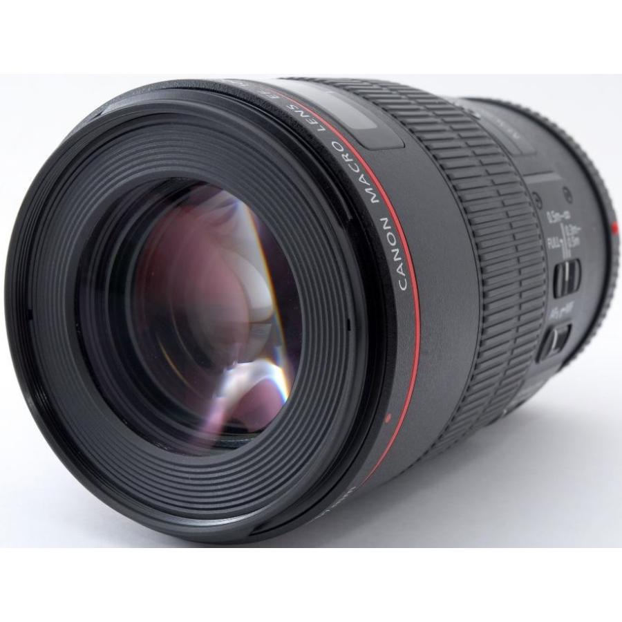 Canon - 交換レンズ マクロ Canon EF 100 F 2,8 L IS macro Amazon | Canon EF 100 mm f / 2.8l is USMマクロレンズfor