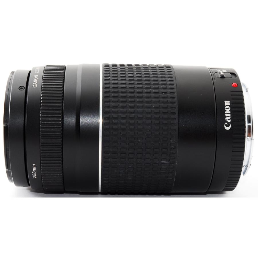 EFレンズ キヤノン 望遠レンズ CANON EF75-300mm F4-5.6 III USM 中古