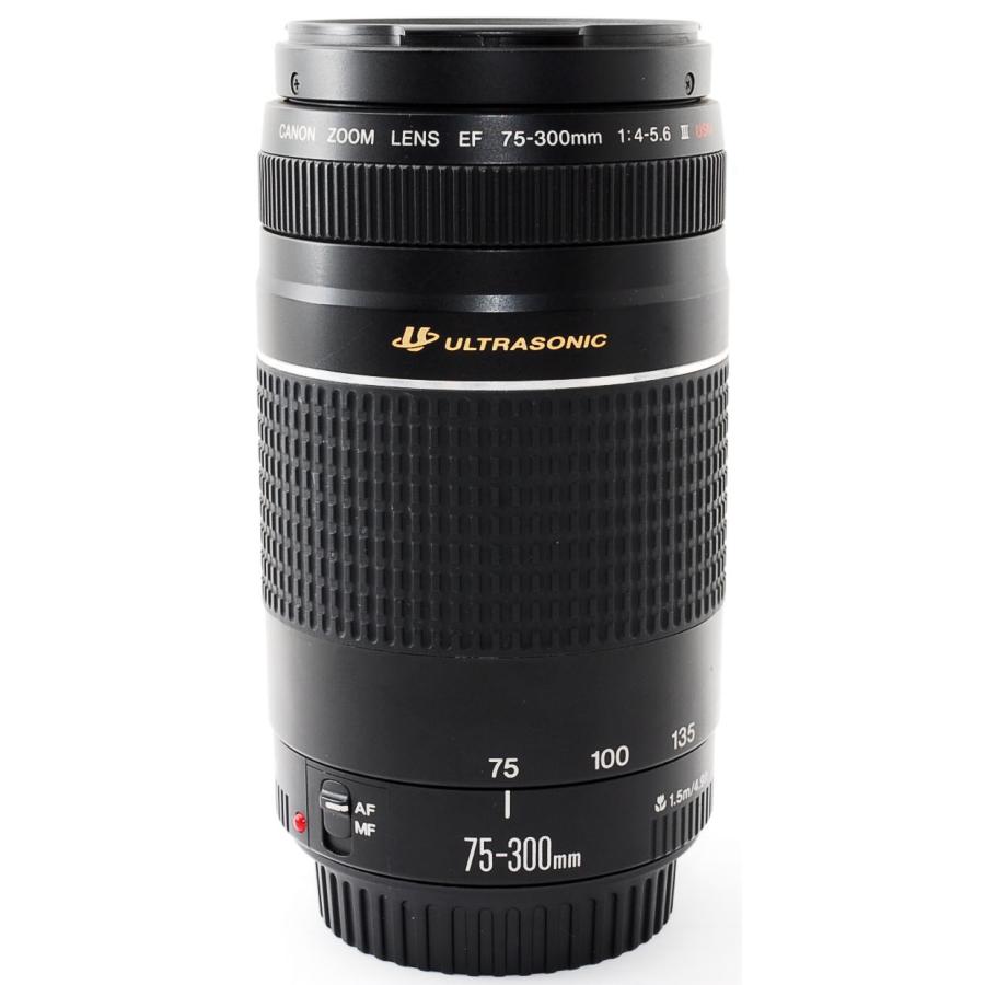 EFレンズ キヤノン 望遠レンズ CANON EF75-300mm F4-5.6 III USM 中古