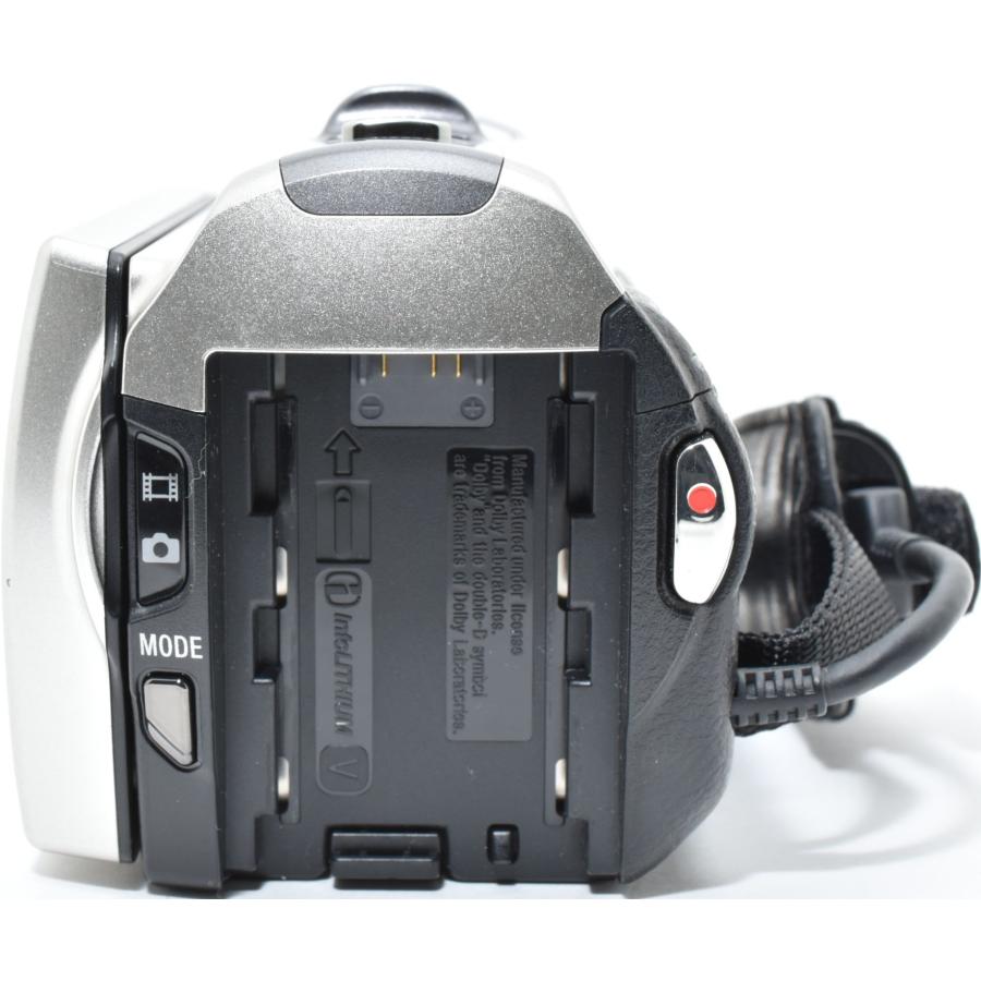 SONY（ソニー） ビデオカメラ SONY HDR-CX560V シャンパンシルバー