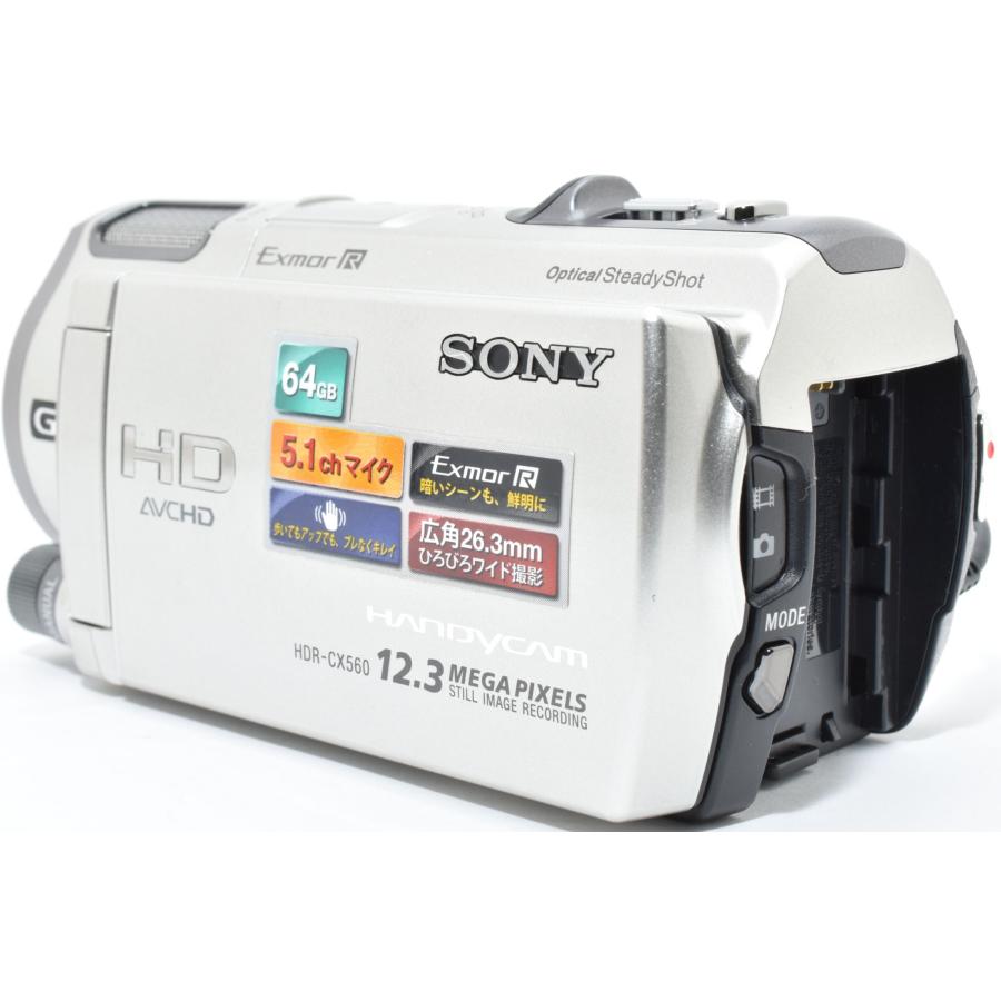 SONY（ソニー） ビデオカメラ SONY HDR-CX560V シャンパンシルバー
