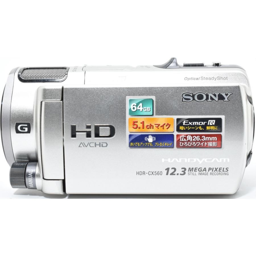 SONY（ソニー） ビデオカメラ SONY HDR-CX560V シャンパンシルバー
