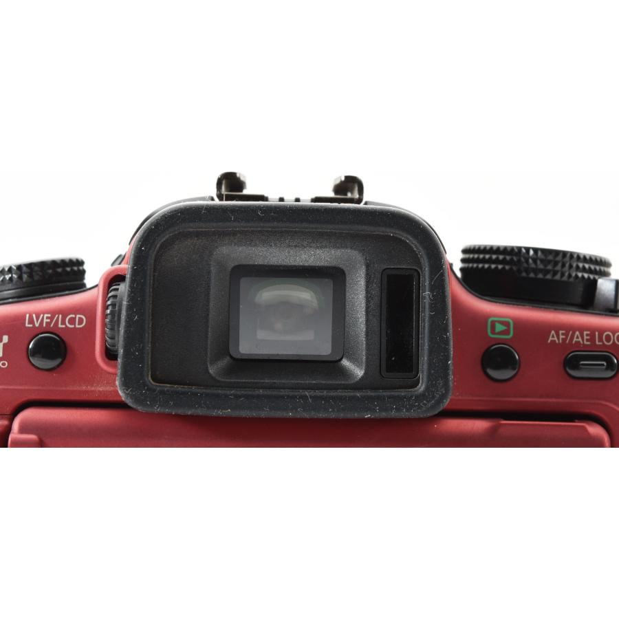 LUMIX パナソニック ミラーレス Panasonic DMC-G2 レンズキット レッド