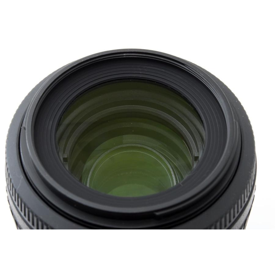 NIKKOR ニコン 望遠レンズ おすすめ Nikon AF-S DX VR 55-200mm NIKKOR ニコン 望遠レンズ おすすめ Nikon AF-S DX VR 55-200mm