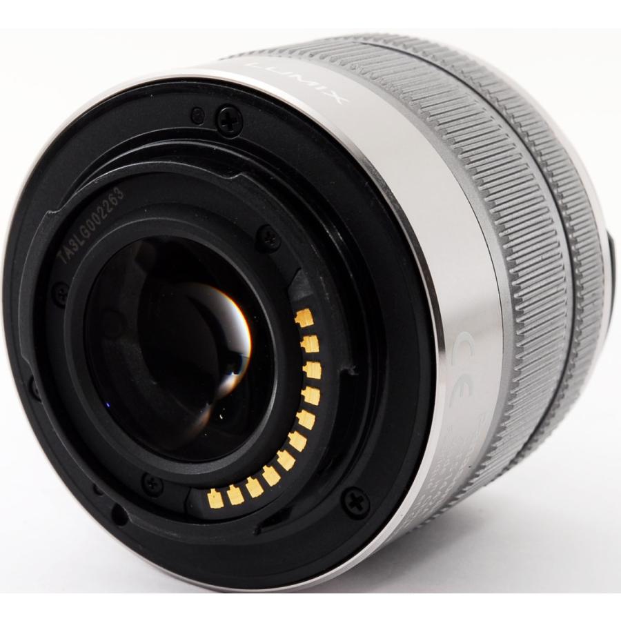 Panasonic ミラーレス パナソニック LUMIX DMC-GF6 レンズキット Panasonic ミラーレス パナソニック LUMIX DMC-GF6 レンズキット