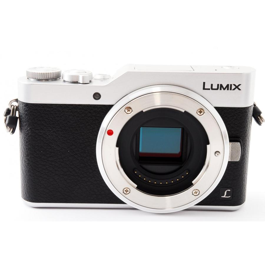 LUMIX Gシリーズ パナソニック ミラーレス Panasonic DC-GF9