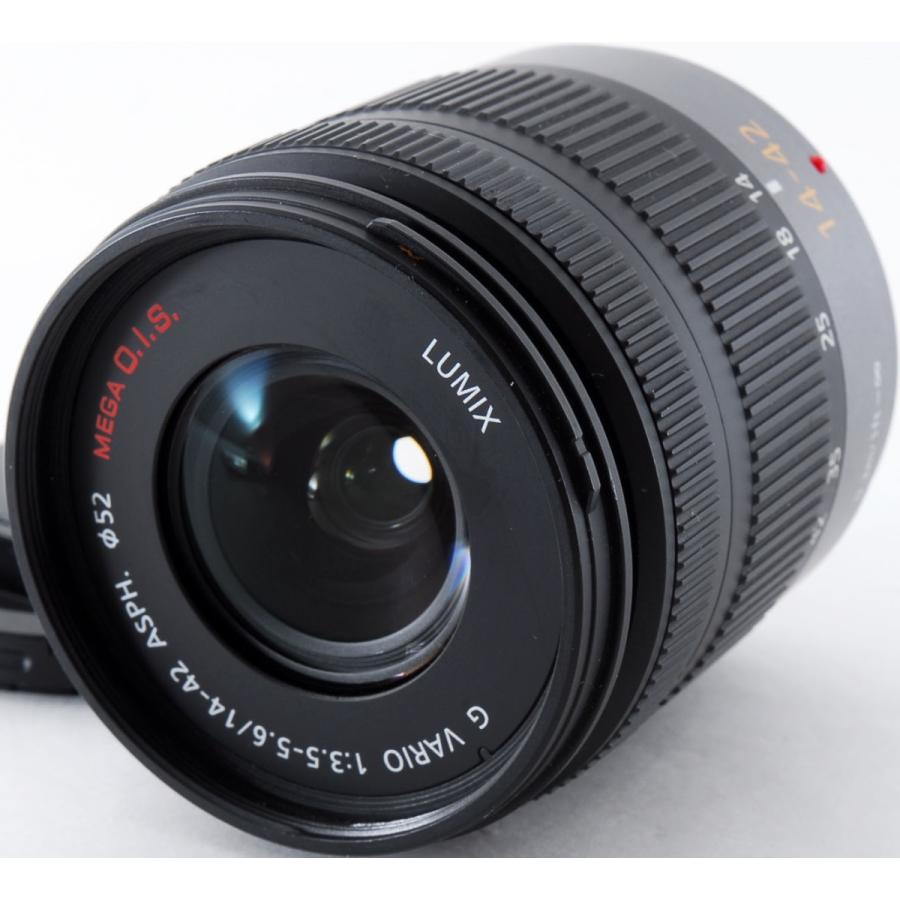 LUMIX パナソニック ミラーレス Panasonic DMC-G2 レンズキット