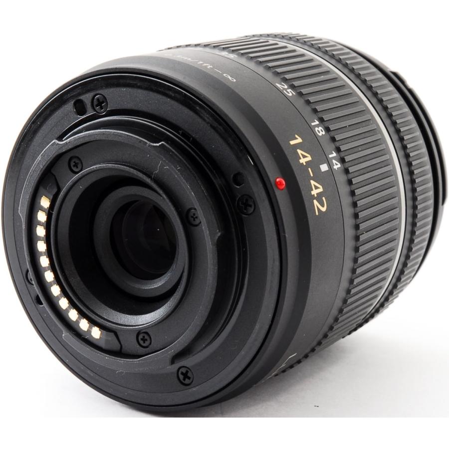 LUMIX Gシリーズ パナソニック ミラーレス Panasonic DMC-G3 ダブル