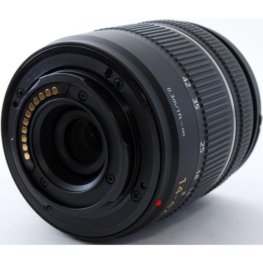 LUMIX パナソニック ミラーレス Panasonic DMC-GF3 ダブルレンズ LUMIX パナソニック ミラーレス Panasonic DMC-GF3 ダブルレンズ