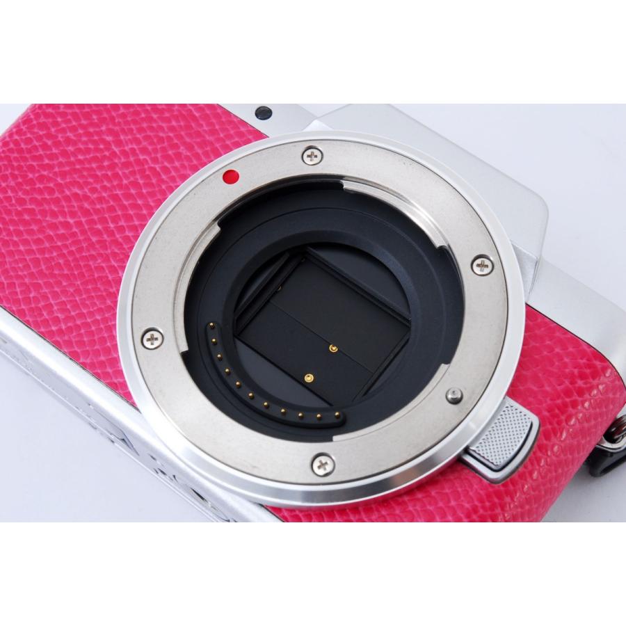 LUMIX Gシリーズ パナソニック ミラーレス一眼 Panasonic DMC LUMIX Gシリーズ パナソニック ミラーレス一眼 Panasonic DMC