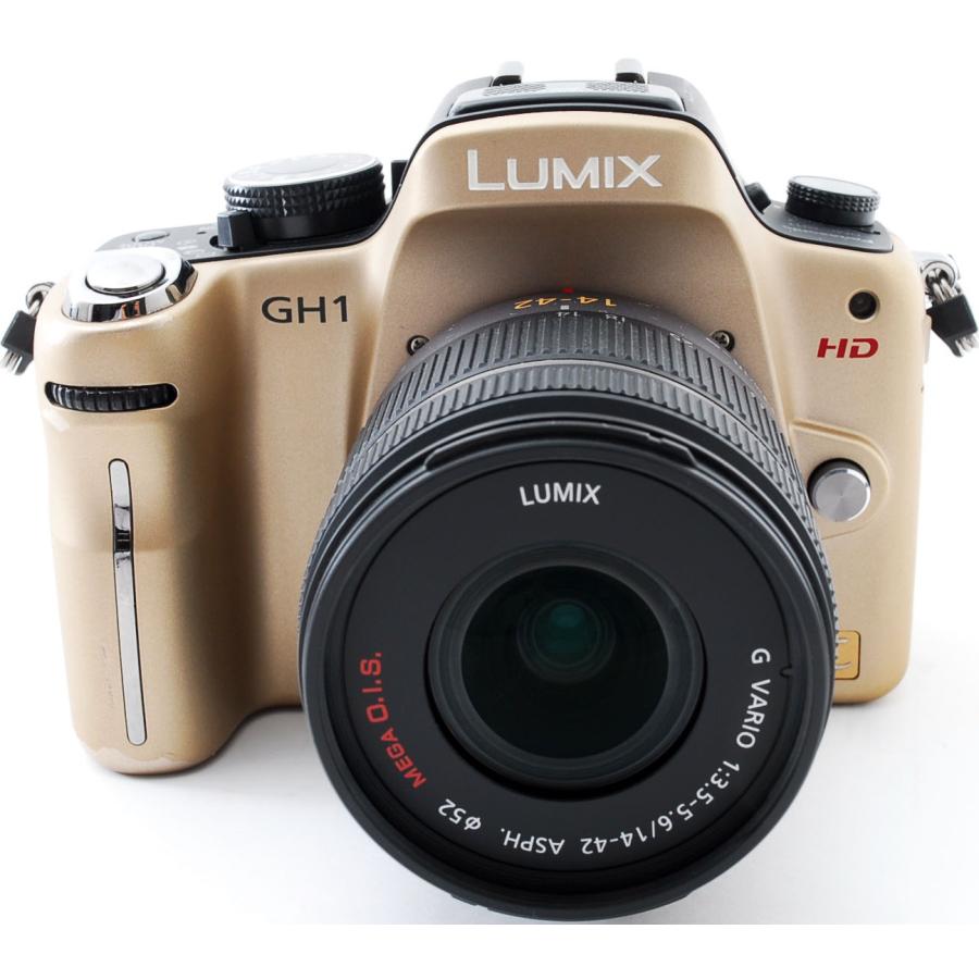 LUMIX パナソニック ミラーレス Panasonic DMC-GH1K レンズキット