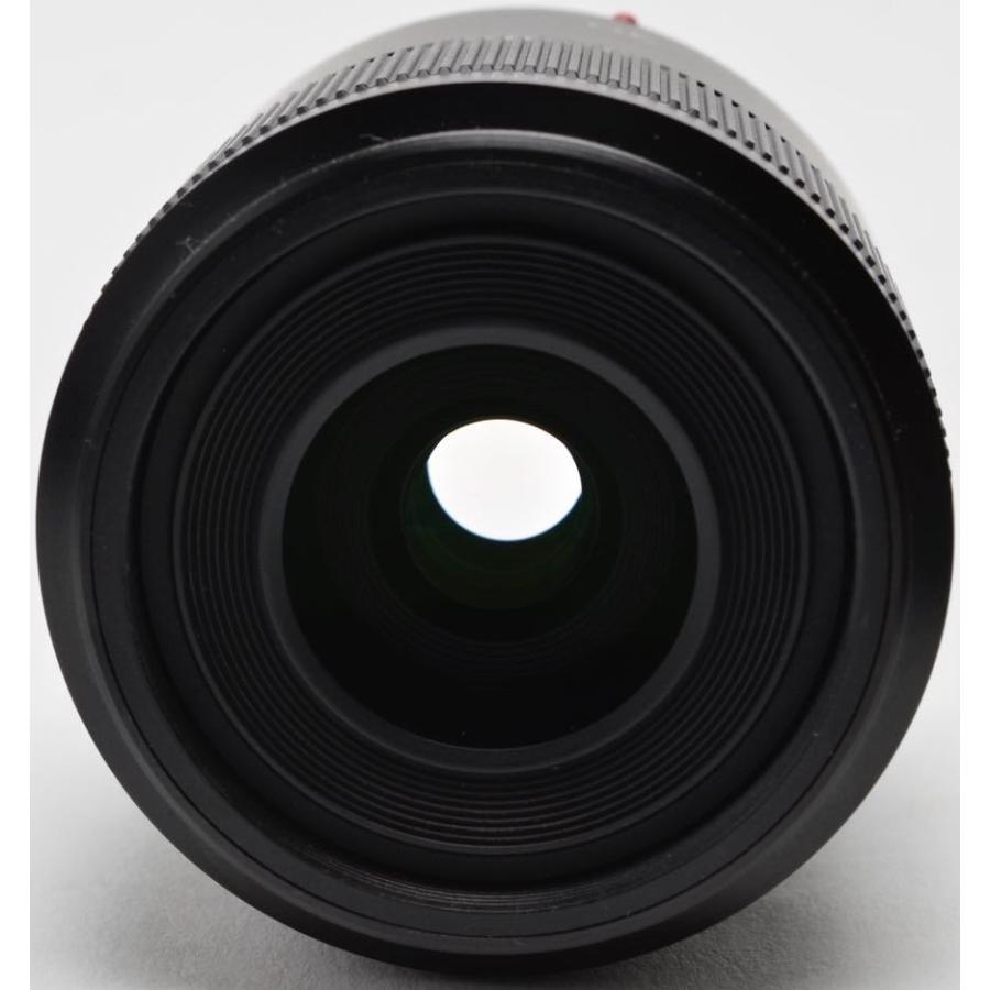 LUMIX Gシリーズ パナソニック 交換レンズ Panasonic G MACRO