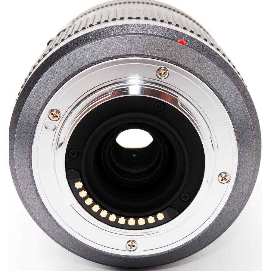 パナソニック 望遠レンズ Panasonic LUMIX G VARIO 45-200mm F4.0-5.6