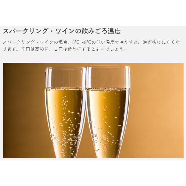 フォルスター ワインセラー フォルスタージャパン FJC-310GS(BK フォルスター ワインセラー フォルスタージャパン FJC-310GS(BK