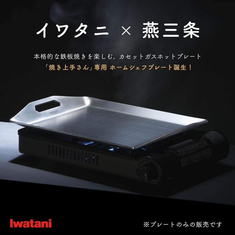 Iwatani（イワタニ） 【公式】Iwatani 岩谷 カセットガスホット
