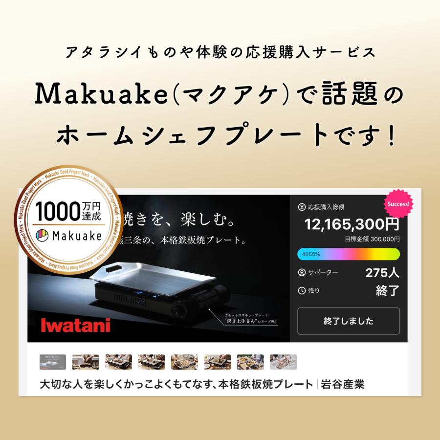 Iwatani（イワタニ） 【公式】Iwatani 岩谷 カセットガスホット