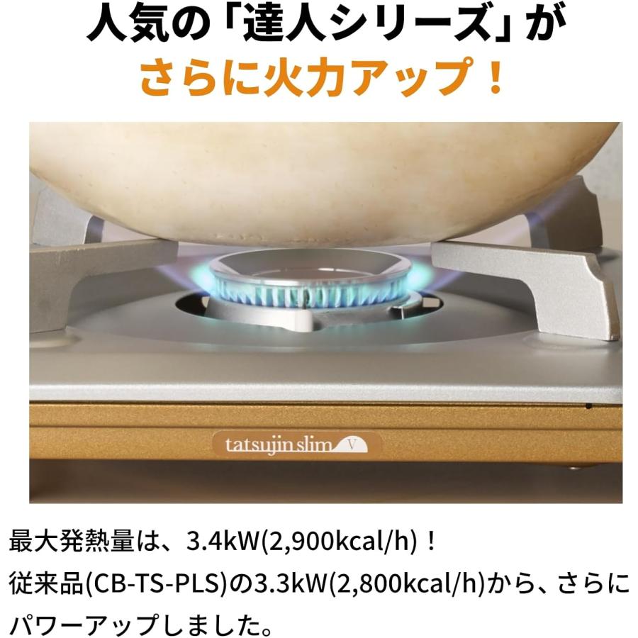 Iwatani（イワタニ） 【公式】Iwatani 岩谷 カセットコンロ カセット