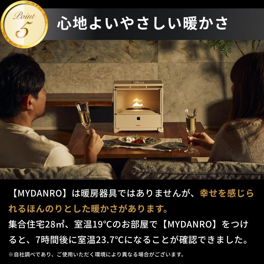 Iwatani（イワタニ） 【公式】Iwatani 岩谷 カセットガス暖炉