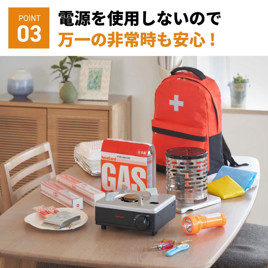 Iwatani（イワタニ） 【公式・セット買い】Iwatani 岩谷 カセットフー