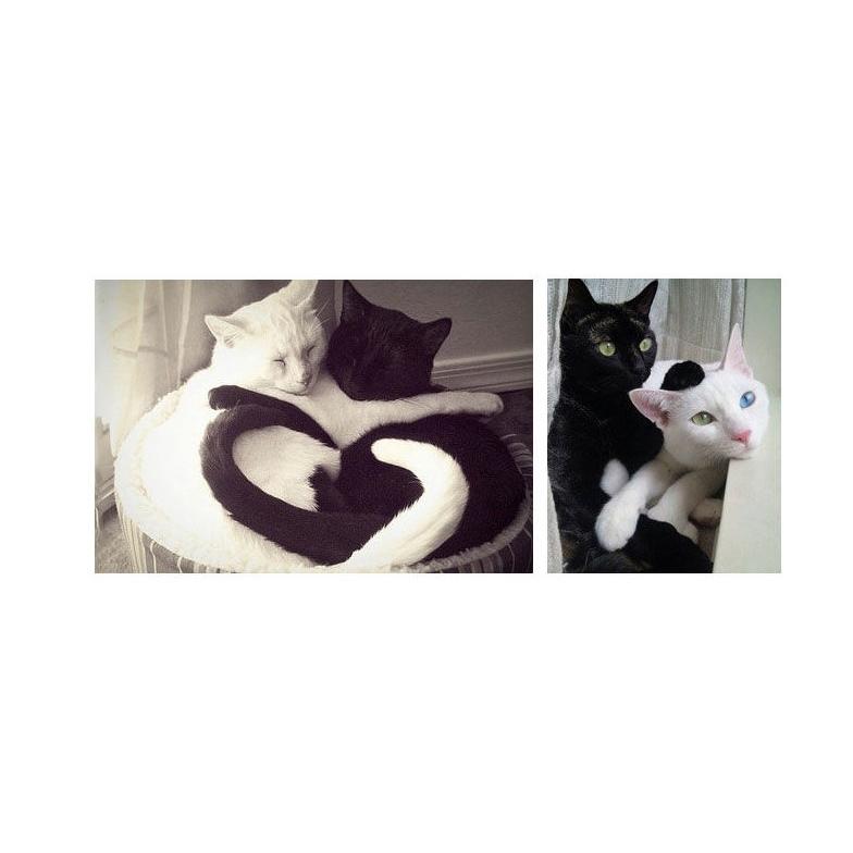 可愛い猫（ねこ）ちゃんのハート型 ペア キーホルダーＡ 黒猫＆銀猫