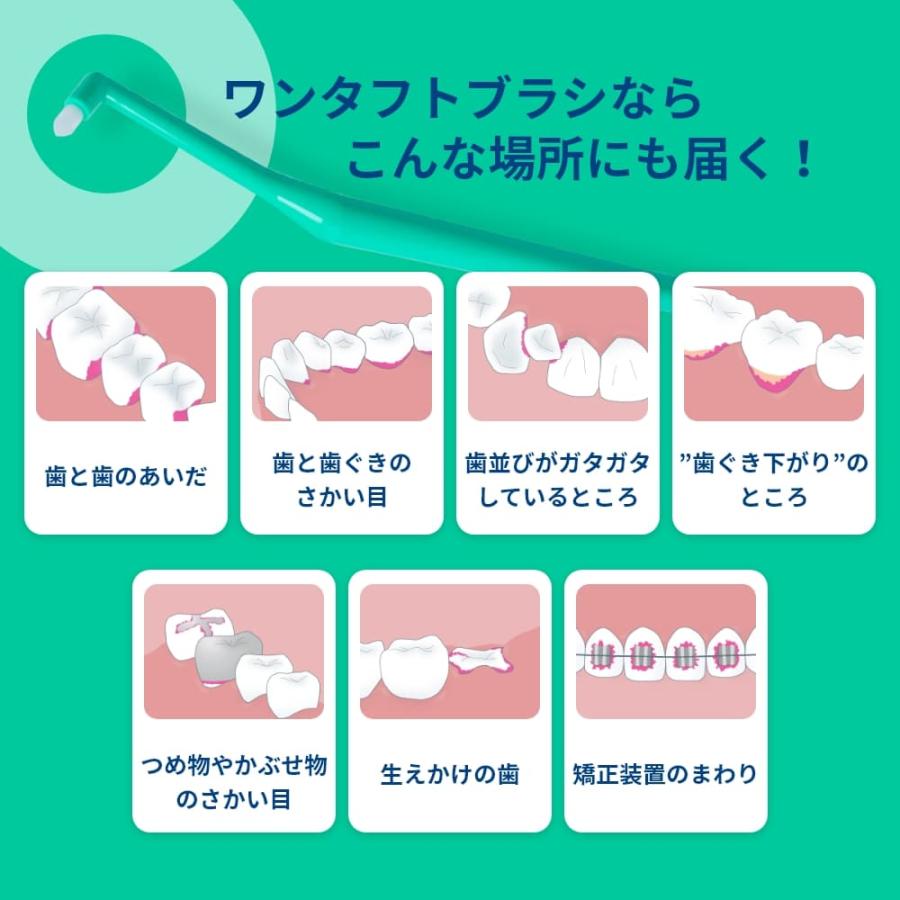 ワンタフトブラシ OralCare オーラルケア 歯ブラシ Plaut プラウト 1本