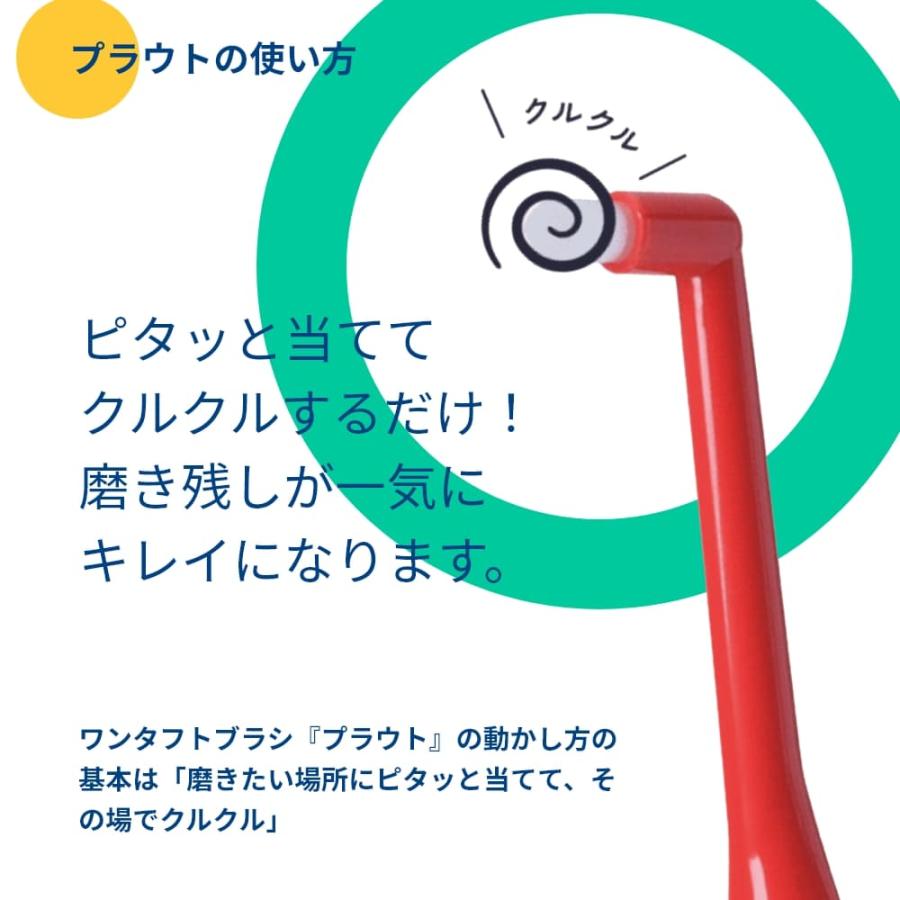 ワンタフトブラシ OralCare オーラルケア 歯ブラシ Plaut プラウト 1本