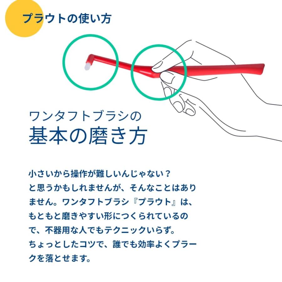 歯ブラシ ワンタフトブラシ OralCare オーラルケア Plaut プラウト