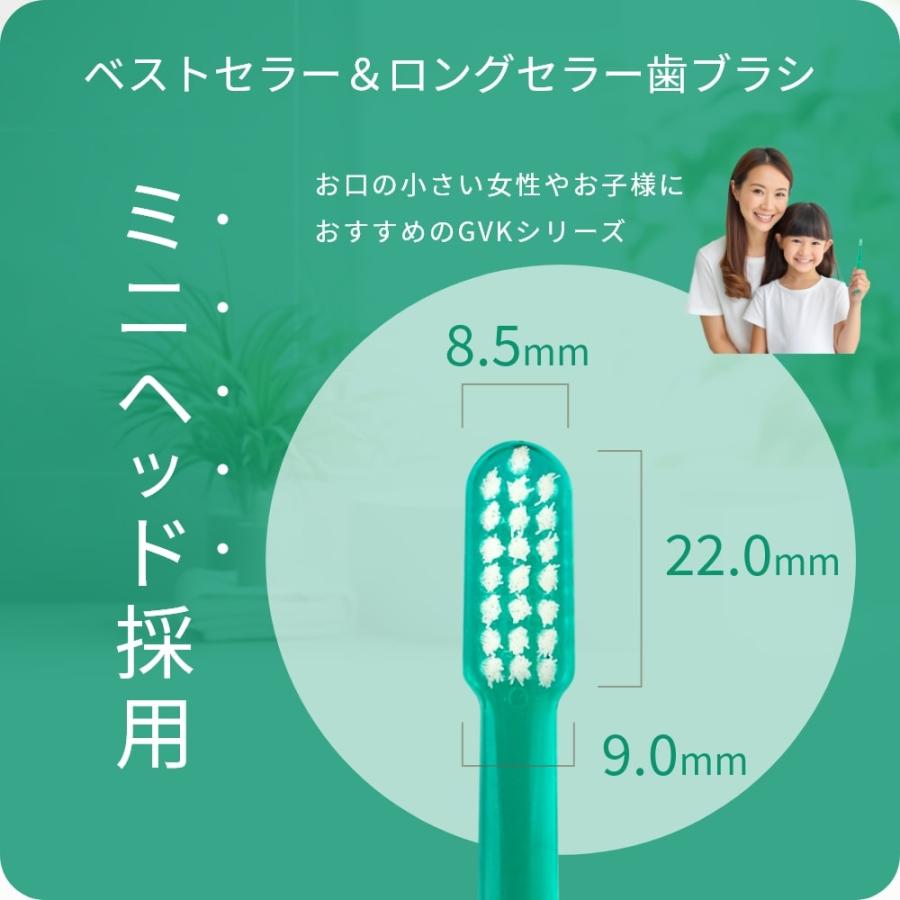 歯ブラシ G.V.K GVK 3.07 12本 メール便送料無料 : アットイーハ